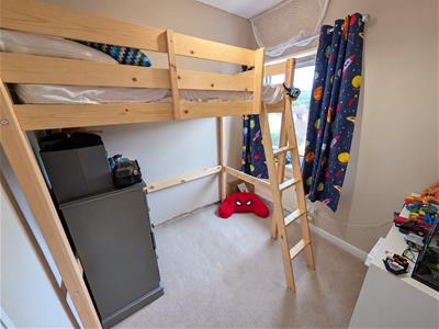 Picture 24